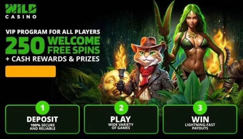 Casino Bonus Philippines Guide - 20 Peso Casino Philippines